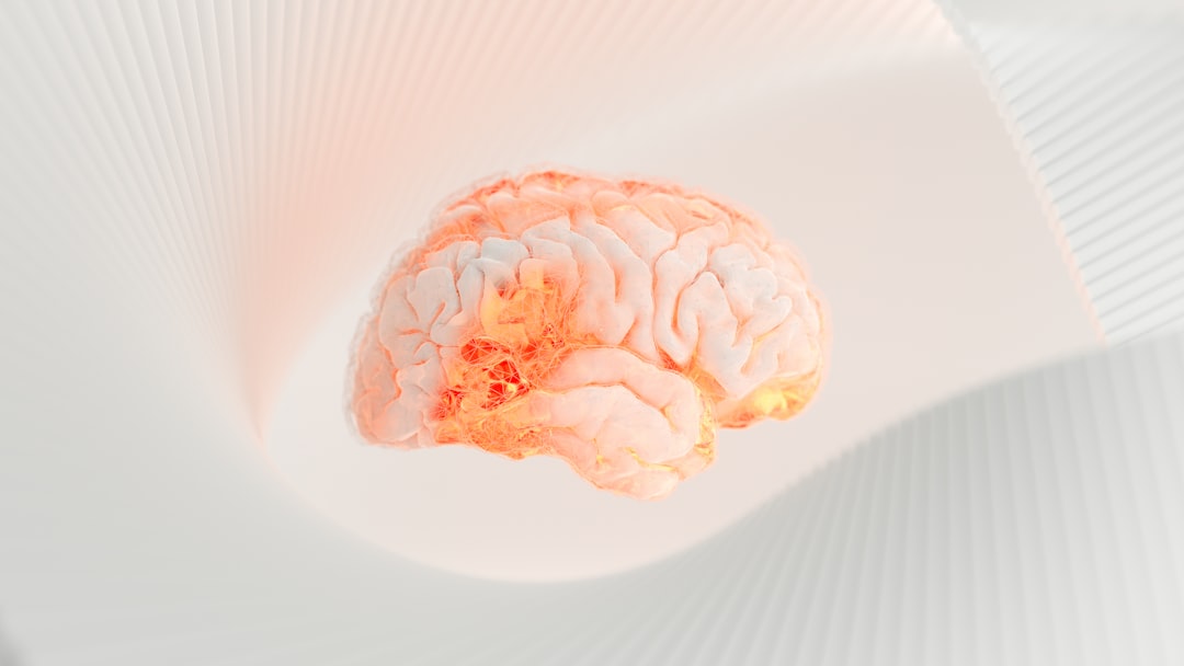 大人の脳は再生しないは嘘だった？最新研究が覆す脳の常識