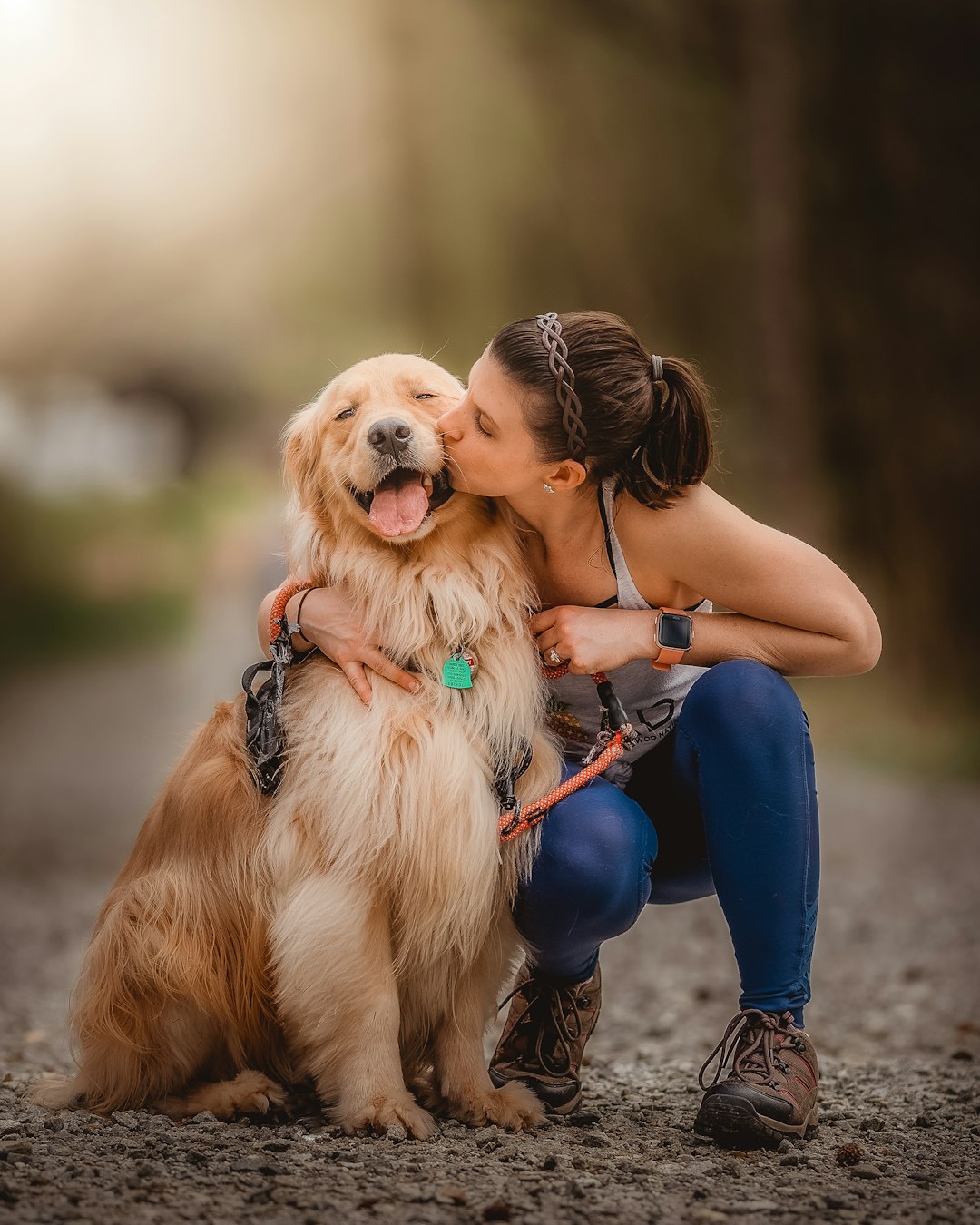 愛犬家の9割が知らない：あなたの長寿の鍵は”犬の血液”にあった